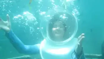 activity sea walker activity sea walker